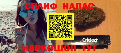 стафф Будённовск