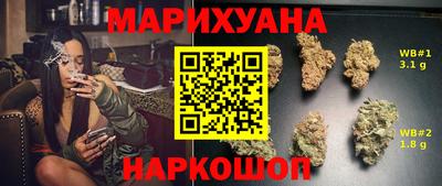 стафф Будённовск