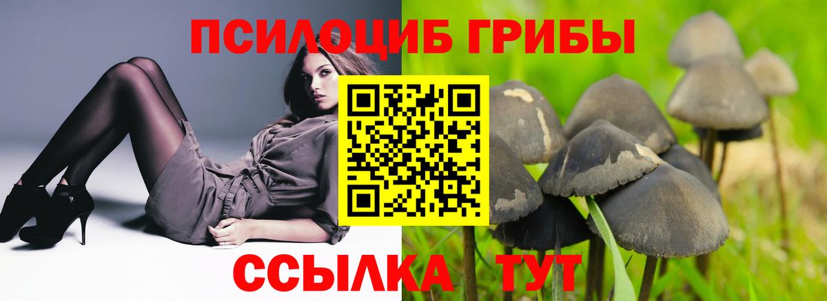 Корсаков  Псилоцибиновые грибы прущие грибы  Вход с VPN 